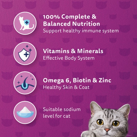 Makanan Kucing Sardin WHISKAS® image 1